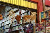 Dead llamas being sold in the markets: by joshandkaren, Views[287]