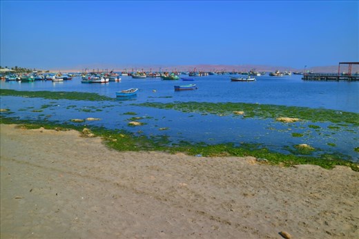 On the way out to Ballestas Island