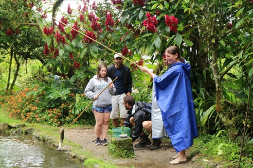 Fishing at a trout farm just outside Baños