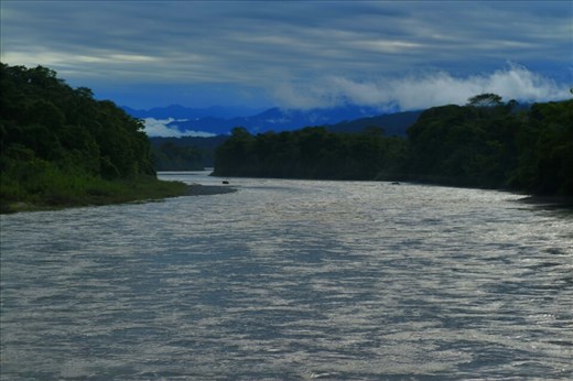 Entering the Amazon