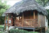 Our jungle lodge accommodation: by joshandkaren, Views[227]