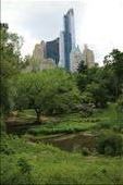 One of our trips to Central Park: by joshandkaren, Views[215]