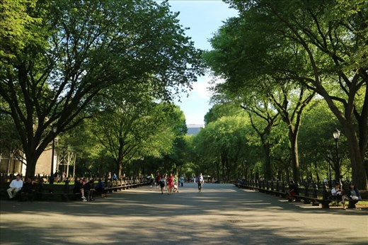 Another visit to Central Park