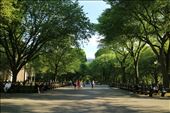 Another visit to Central Park: by joshandkaren, Views[289]