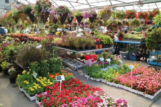 Atwater markets in Montreal