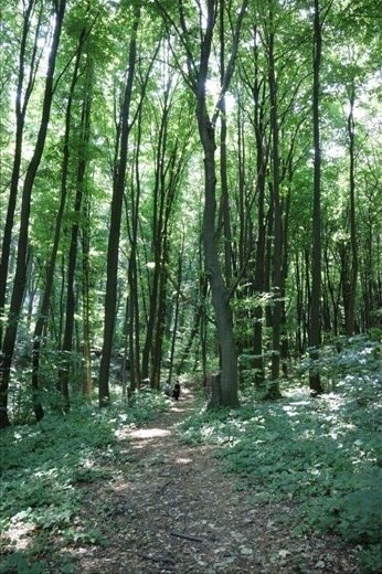 Hiking through Fruska Gora National Park,  Novi Sad