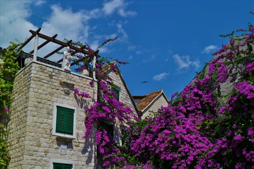 The old city in Split