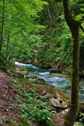 Vintgar Gorge