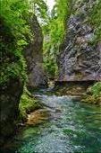 Vintgar Gorge: by joshandkaren, Views[250]