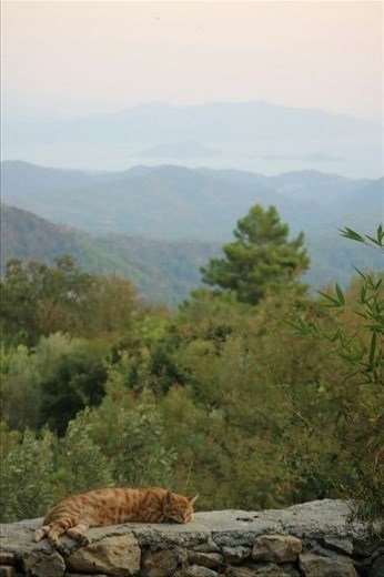 Workaway near Goçek