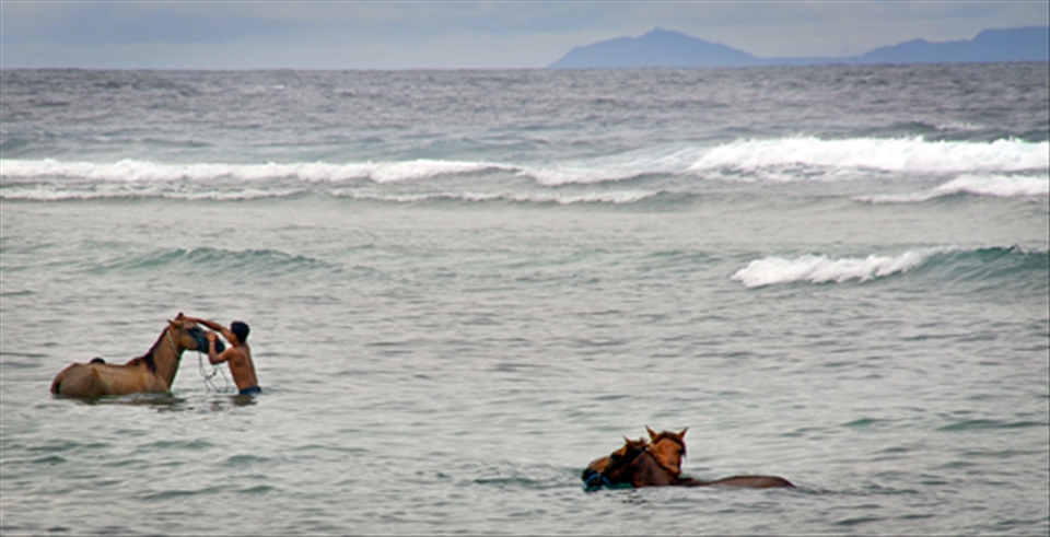 Men wash their horses in the surf at the Gili Trawangan beach