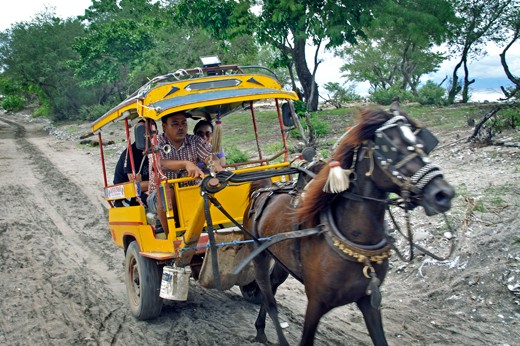 All motorised vehicles are banned in the Gilis so 