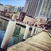Amazing Peir - I captured this photo when I was taking a mid afternoon stroll along the pier at Darling Harbour Sydney: by josho, Views[325]