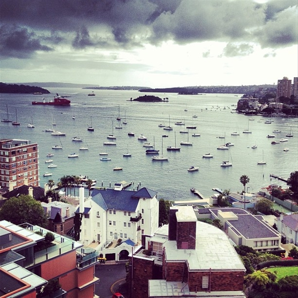 Sydney Harbour - What an amazing morning!!! I captured this photo when I was having breakfast in my hotel room looking out over the harbour.