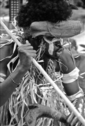 Festival of Pacific Arts, Solomon Islands 2012: by joshrlgreen, Views[241]
