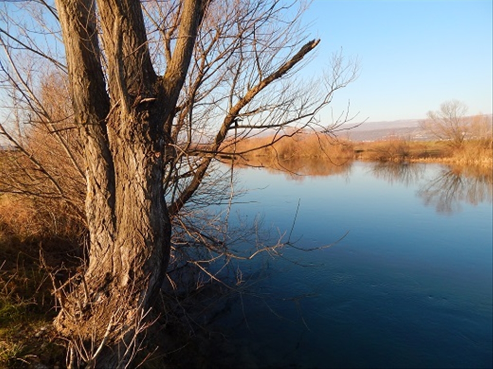 Reflections off the River Cetina near the town of Sinj. Step down among the bank, cup the cool water in your hands and drink.