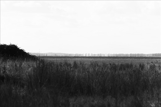 Canon 300D>Contrast Shot