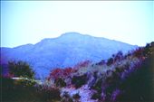 by jota, Views[200]