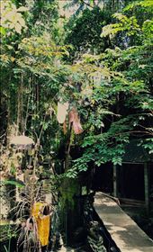 by journeyjane, Views[1633]