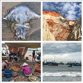 by journeyjane, Views[759]