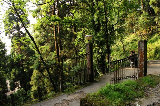 Gateway to new tales and philosophies. Rays peep through the leaves to greet us.