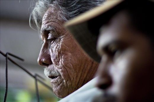 An old man watches on.