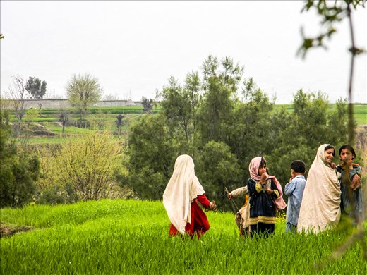 One day Disney will film our folklore.  
(Girls playing in the lush green fields of Bajour)