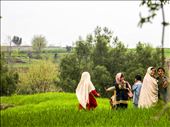 One day Disney will film our folklore.  
(Girls playing in the lush green fields of Bajour): by joveriahassan, Views[415]