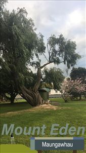 by joyaroundtheworld, Views[993]