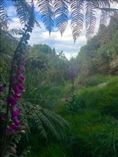 by joyaroundtheworld, Views[176]