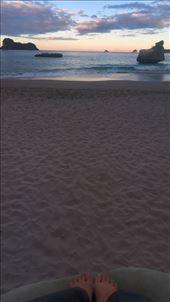 by joyaroundtheworld, Views[269]