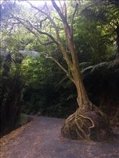 by joyaroundtheworld, Views[260]