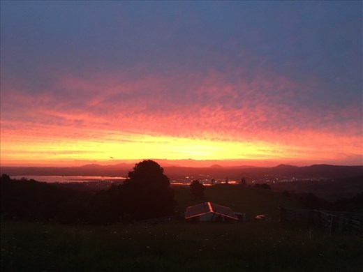 This sunset was unreal in person, my iPhone just couldn't capture it