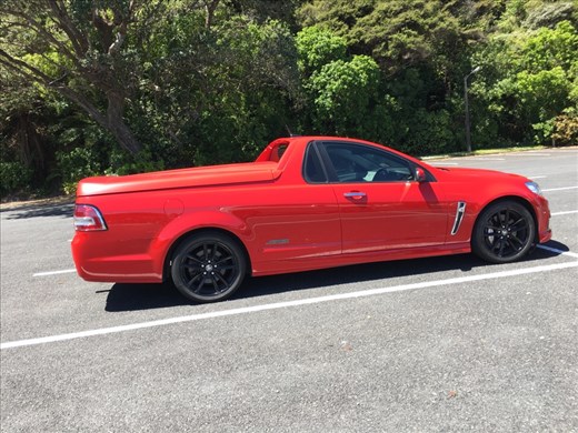 These are everywhere. Do they even qualify as a truck...???