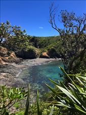 by joyaroundtheworld, Views[214]