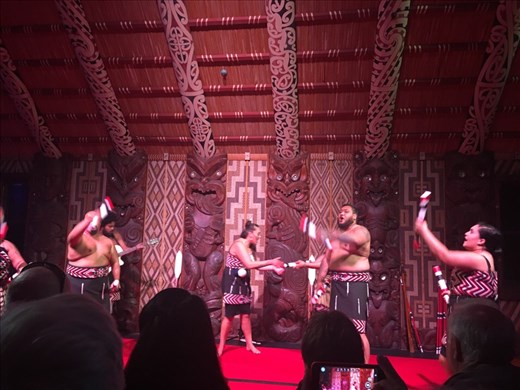 Cultural performance in the memorial house 