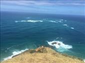 The waves further out are due to the Tasman Sea and the Pacific Ocean coming together at the cape: by joyaroundtheworld, Views[196]