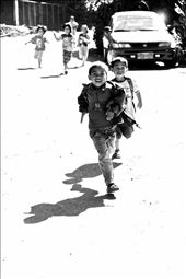 Some of the more curious kids of Bauko run after our van.

Bauko, Mountain Province, Philippines: by joyceyfruit, Views[780]