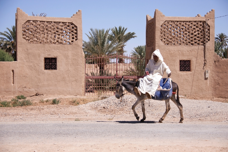 A regular sight along the streets and towns of Morocco are men and their donkeys.  In his white flowing djellaba, this Moroccan man rides sidesaddle along the road near the dessert town of Rissani.  Donkeys are also regularly used to haul carts and carry supplies.