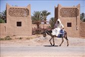 A regular sight along the streets and towns of Morocco are men and their donkeys.  In his white flowing djellaba, this Moroccan man rides sidesaddle along the road near the dessert town of Rissani.  Donkeys are also regularly used to haul carts and carry supplies.: by joymelchiori, Views[1355]