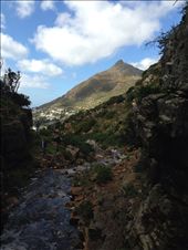 by joytranae, Views[299]