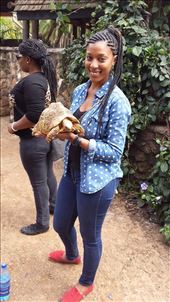 by joytranae, Views[226]