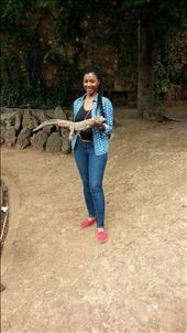 by joytranae, Views[263]