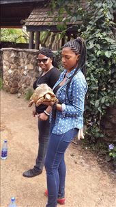 This is when I realized he was peeing lol: by joytranae, Views[276]