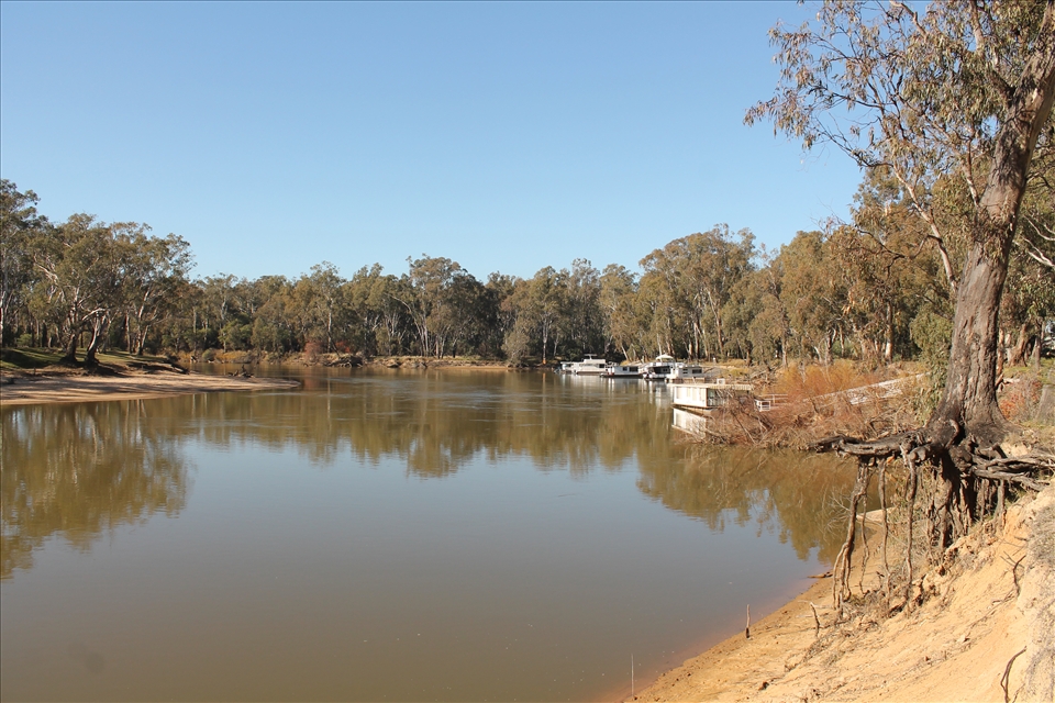 Winter on the River - usually in July this part of the river is swollen from the winter rainfall but a very dry year so far has resulted in low river levels.