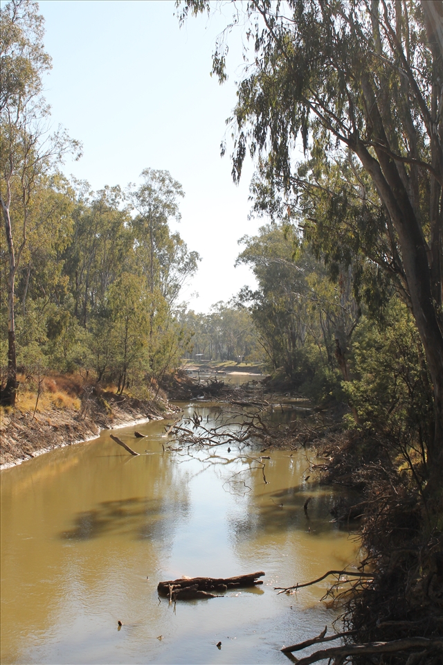 Across the River - looks as though some sort of natural disaster has torn through this part of the river leaving a path of destruction but in fact when it becomes hot & dry the tree limbs just fall off. Felt like I should have been wearing a hard hat as we wandered 