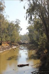 Across the River - looks as though some sort of natural disaster has torn through this part of the river leaving a path of destruction but in fact when it becomes hot & dry the tree limbs just fall off. Felt like I should have been wearing a hard hat as we wandered 