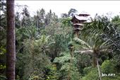 Bali, Green Village: by jpixart, Views[274]
