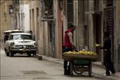 Here we can see a street vendor selling fresh produce. Cuba is a country where rationing and food shortages are the norm. The introduction of organic and sustainable agriculture was another outcome of the ‘Special Period’. It revolutionised Cuba’s food industry and resulted in the adoption of a locally grown diet which is 
low on meat but high in wholegrain foods, fruits and vegetables.
: by jpmiller, Views[824]