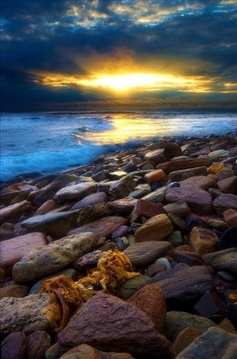 Taken during hide tide at Long Reef on Sydney's nortern beaches